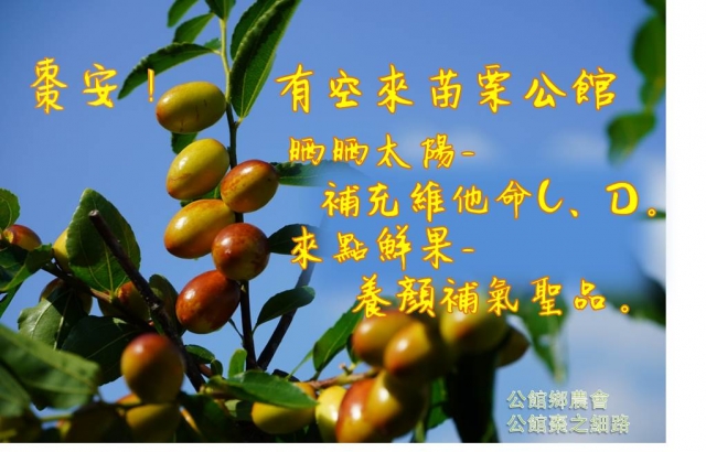 棗安圖範例-棗安苗栗 公館SAY-HI棗安圖競賽徵選