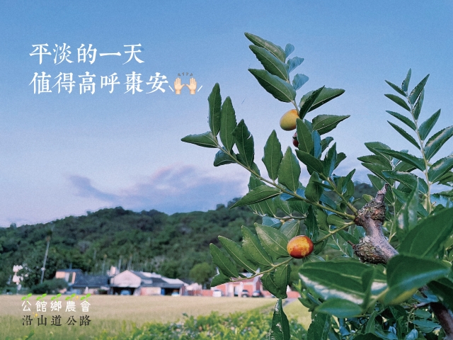 恁早-棗安苗栗 公館SAY-HI棗安圖競賽徵選