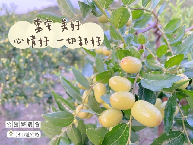 棗安 美好-棗安苗栗 公館SAY-HI棗安圖競賽徵選