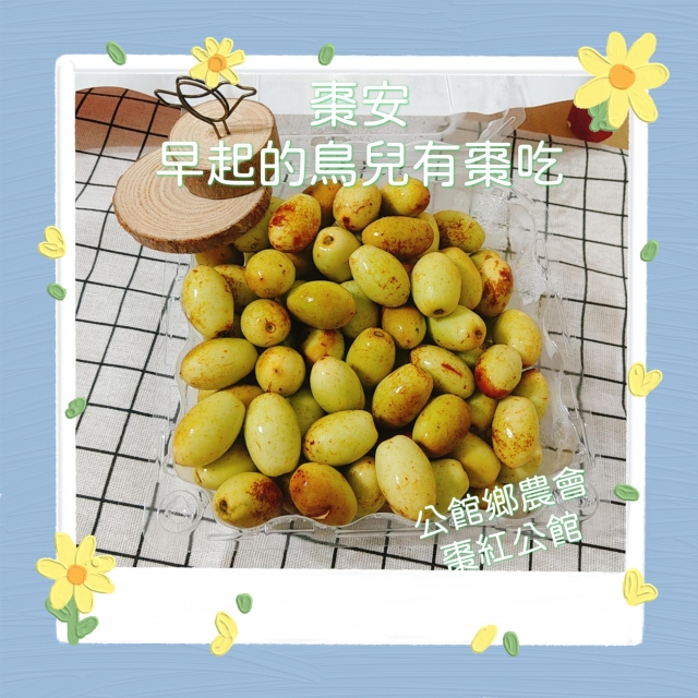 棗安 早起的鳥兒有棗吃-棗安苗栗 公館SAY-HI棗安圖競賽徵選