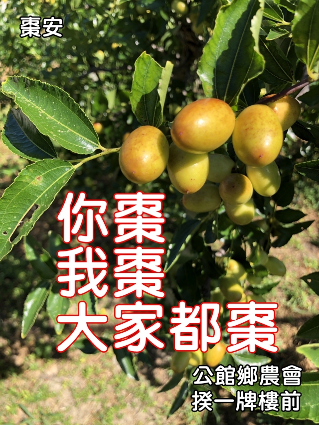 大家棗安-棗安苗栗 公館SAY-HI棗安圖競賽徵選