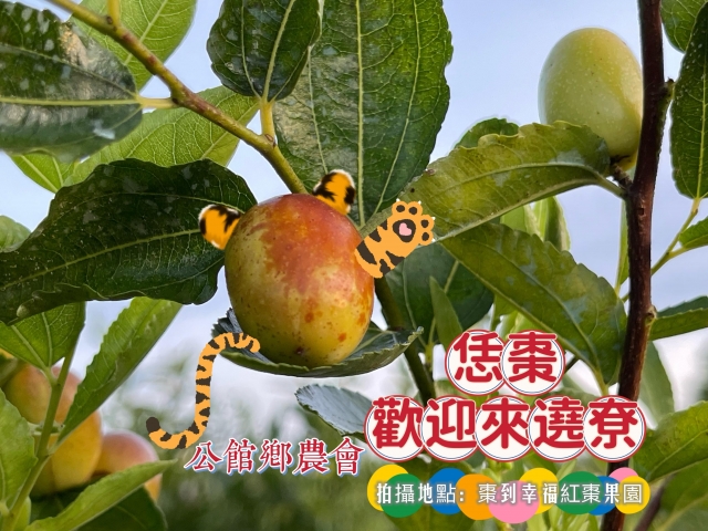 恁棗-歡迎來橈寮-棗安苗栗 公館SAY-HI棗安圖競賽徵選