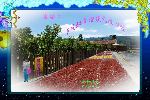 採棗趣-棗安苗栗 公館SAY-HI棗安圖競賽徵選