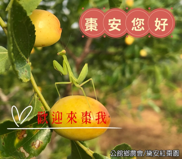 來棗我-棗安苗栗 公館SAY-HI棗安圖競賽徵選