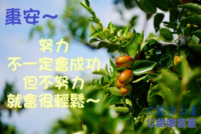 公館田園紅棗甜甜-棗安苗栗 公館SAY-HI棗安圖競賽徵選