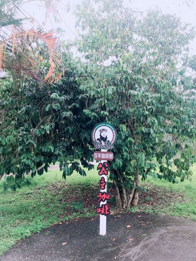 公主咖啡-花蓮MaaS人氣店家投票活動