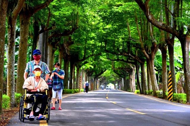 與父同遊綠隧道-2022大潮藝文市集系列活動～潮州之美攝影比賽人氣獎票選