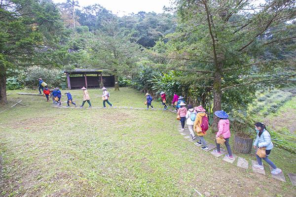 準備採茶2-111年坪林之美攝影比賽