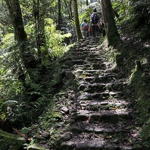 生態步道-111年坪林之美攝影比賽