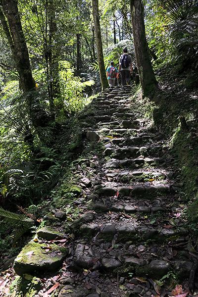 生態步道-111年坪林之美攝影比賽