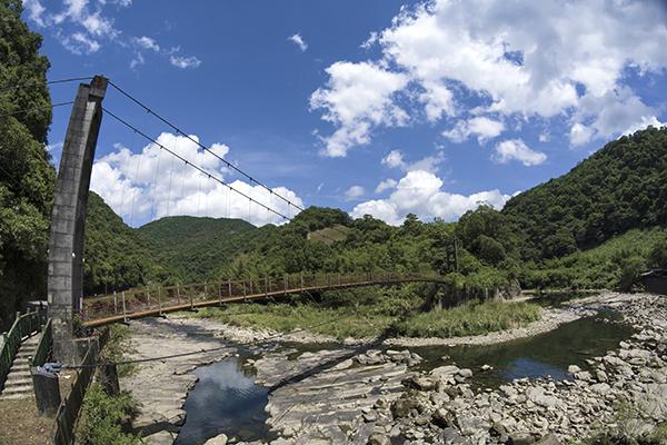 粗石斛吊橋-111年坪林之美攝影比賽