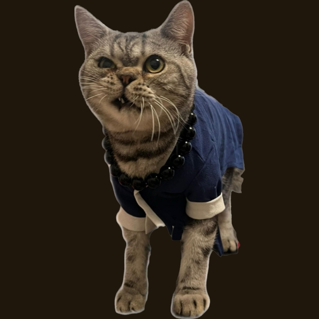 嘖-《參心堂 x Fancymeow》最趣怪表情大賽 