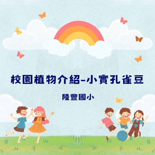 校園植物介紹-小實孔雀豆-彰化縣112年學習載具自學趣短片競賽徵件