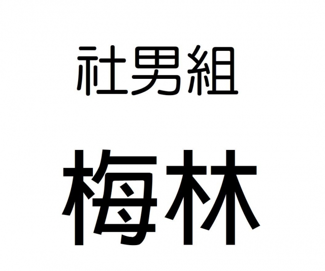 -第三屆GSIIIA格璽雅盃全國排球錦標賽，預測冠軍隊