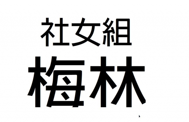 -第三屆GSIIIA格璽雅盃全國排球錦標賽，預測冠軍隊