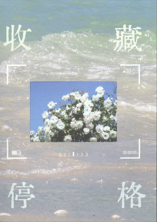  板中青年第七十七期 《收藏停格》-青春鑄字行—2023第六屆紀州庵高中校刊競賽 線上人氣票選