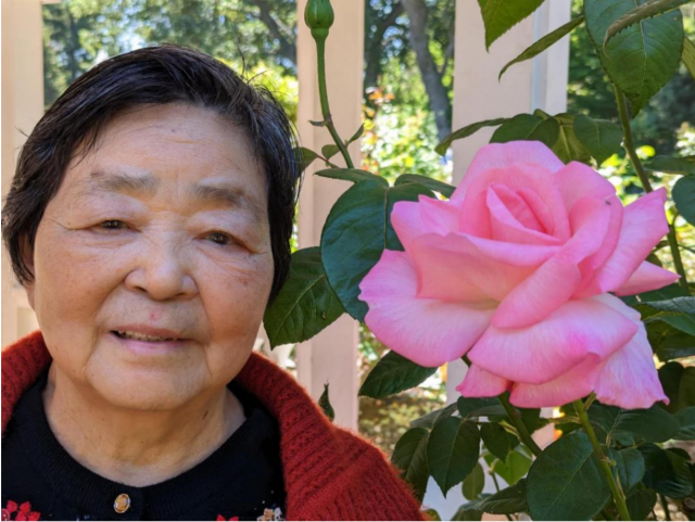 Mother's day-母亲节-金色年華攝影比賽