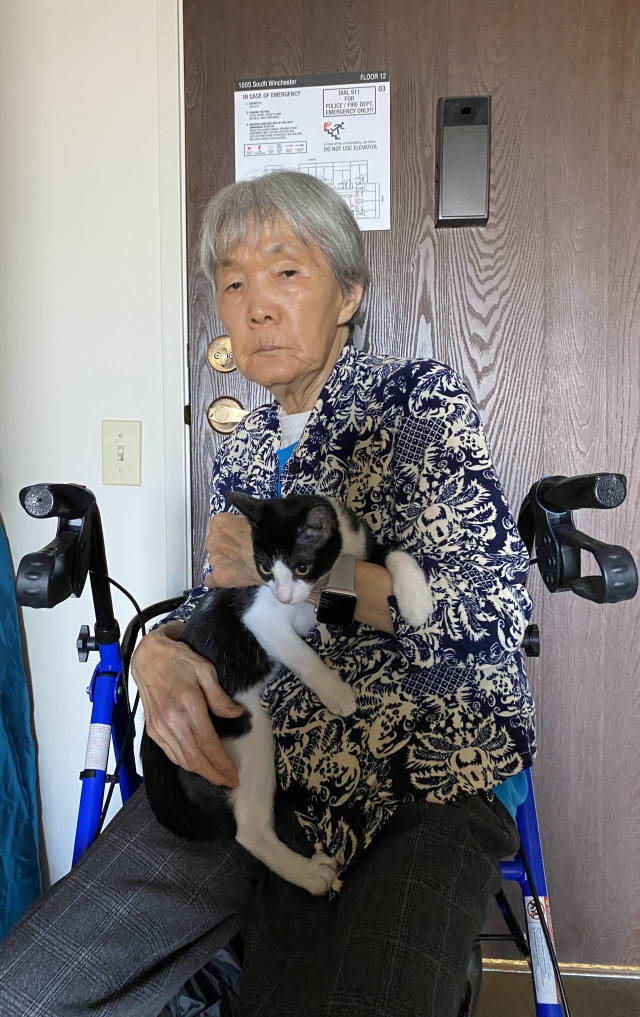 老人和猫-金色年華攝影比賽