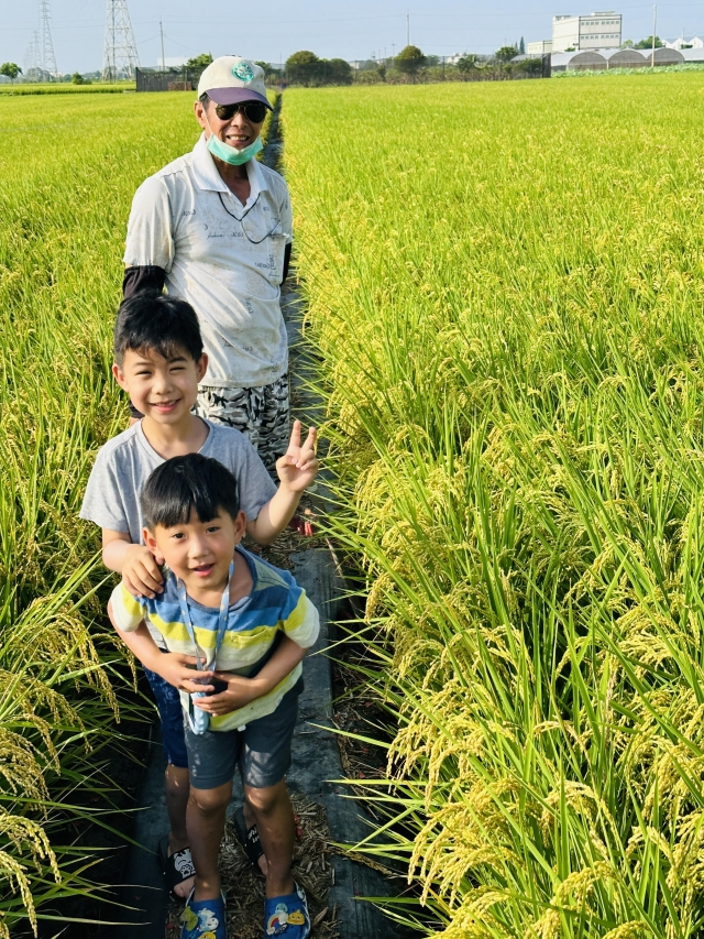 稻子白米飯魔術師阿公-金色年華攝影比賽