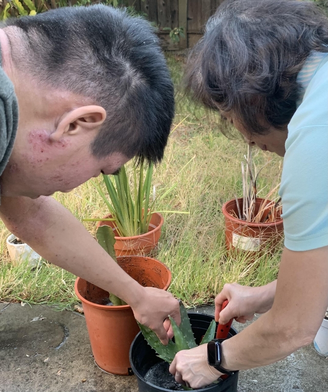 Planting aloe with my grandson-金色年華攝影比賽
