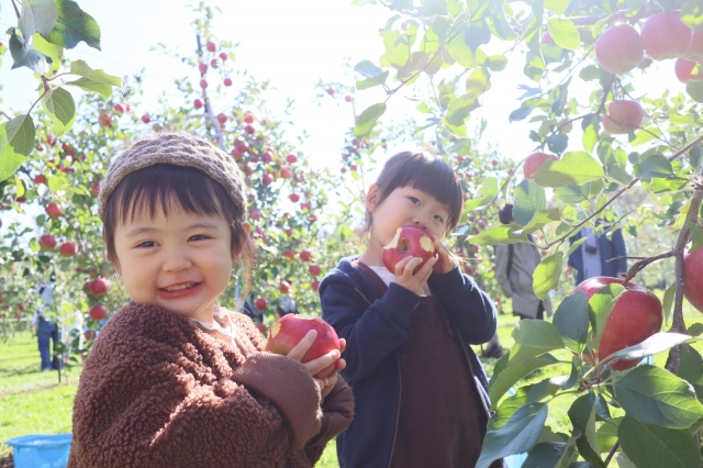 採果(フルーツ狩り)-我愛深川巿旅遊主題大票選