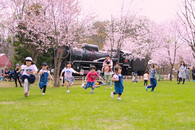 櫻山公園(桜山公園)-我愛深川巿旅遊主題大票選