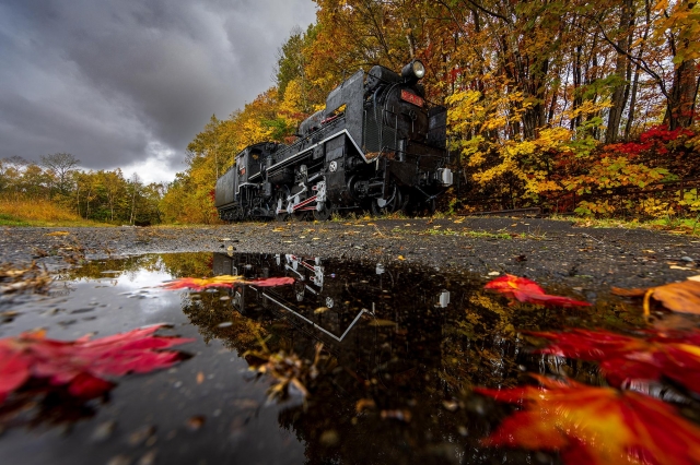 櫻山公園(桜山公園)-我愛深川巿旅遊主題大票選