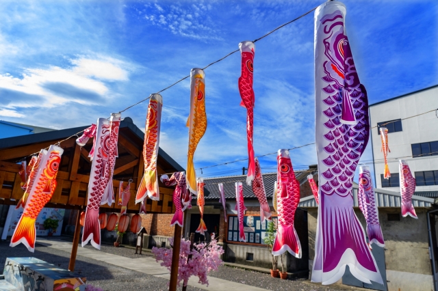 鯉魚旗-2023大潮藝文市集系列活動~潮州之美攝影比賽人氣獎票選活動