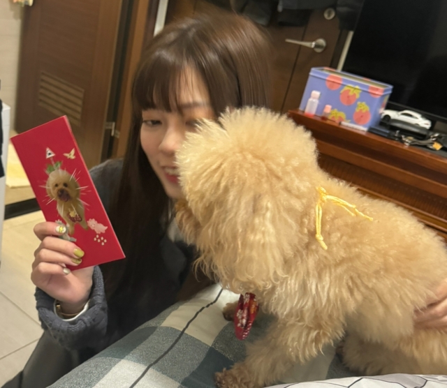 新年快樂 紅包紅包！買肉肉-尋找八德萌主 寵物攝影人氣票選