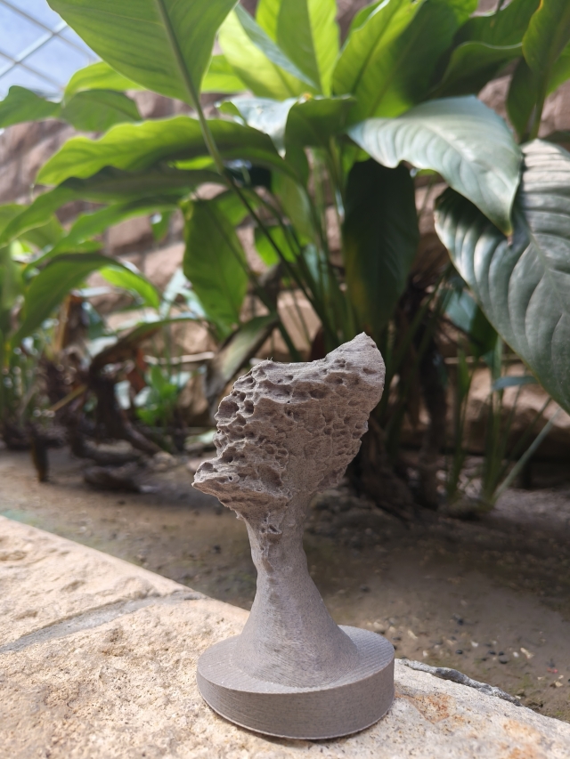 綠意女王頭 #pancolour植纖線材-pancolour 3D列印植纖線材作品人氣票選