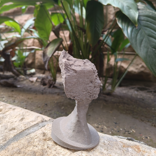 綠意女王頭 #pancolour植纖線材-pancolour 3D列印植纖線材作品人氣票選