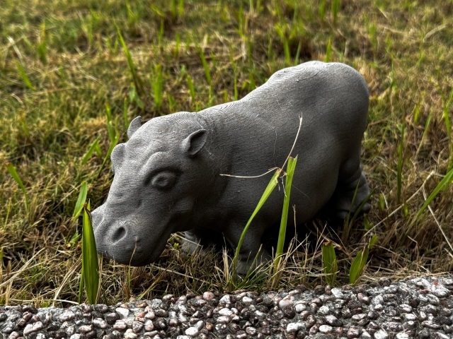 快樂的河馬-pancolour 3D列印植纖線材作品人氣票選