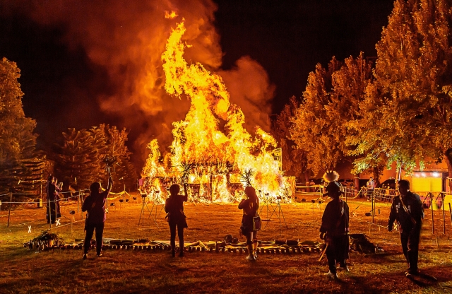 浴火重生-2024Tuying Art 人氣票選