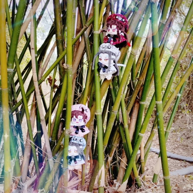 竹林小精靈-崽崽的天天日記