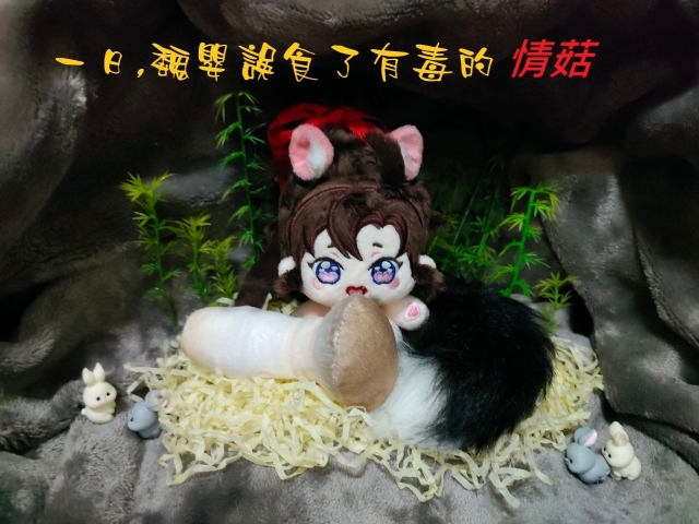 洞中情緣-崽崽的天天日記
