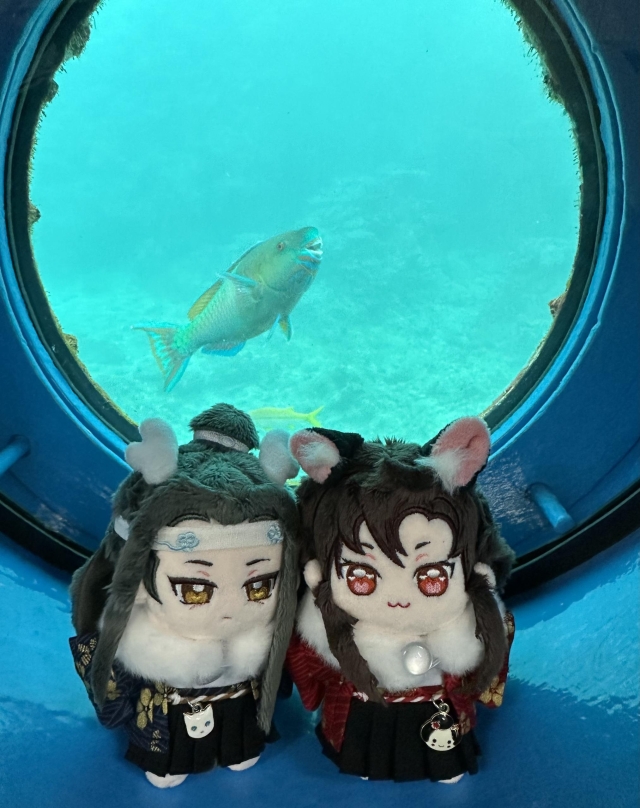 魚兒也在笑-崽崽的天天日記