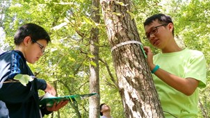 從山海到餐桌：單車探索在地自然與永續飲食-花蓮永續(綠色)遊程競賽活動