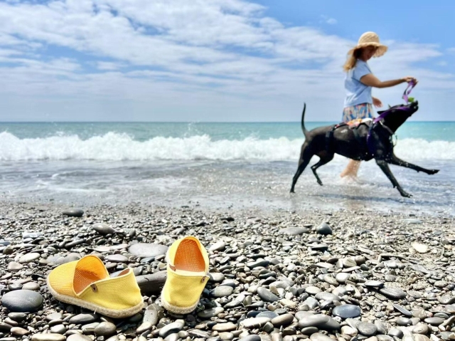 海浪沙灘陽光～來自汪星的波妞-第二屆金腳印獎『毛孩鏡勾追』活動