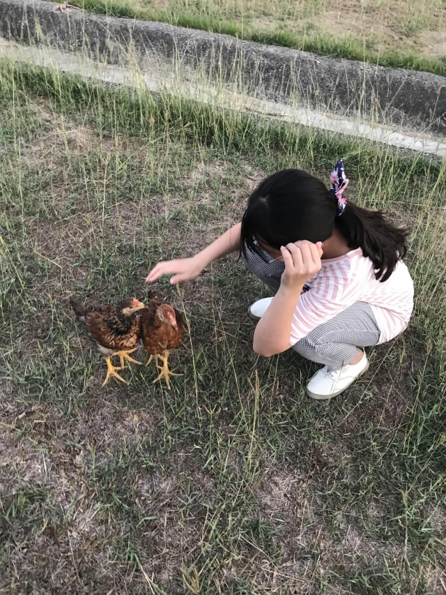 成長的瞬間-第二屆金腳印獎『毛孩鏡勾追』活動