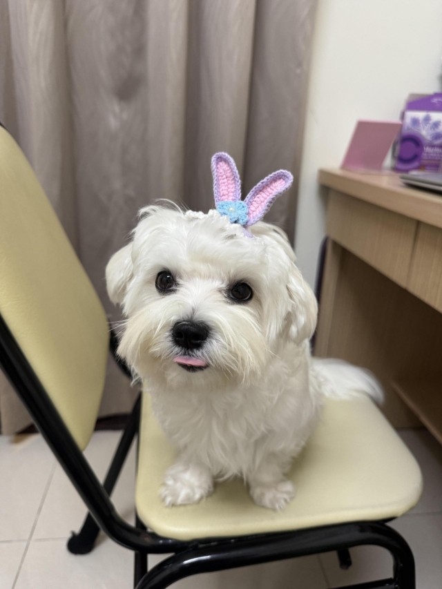 陪你長大的100種溫柔-第二屆金腳印獎『毛孩鏡勾追』活動