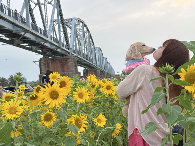 屏東舊鐵橋 花海-第二屆金腳印獎『毛孩鏡勾追』活動