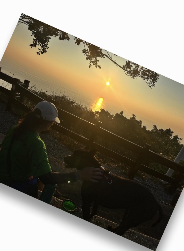 關山夕陽-第二屆金腳印獎『毛孩鏡勾追』活動