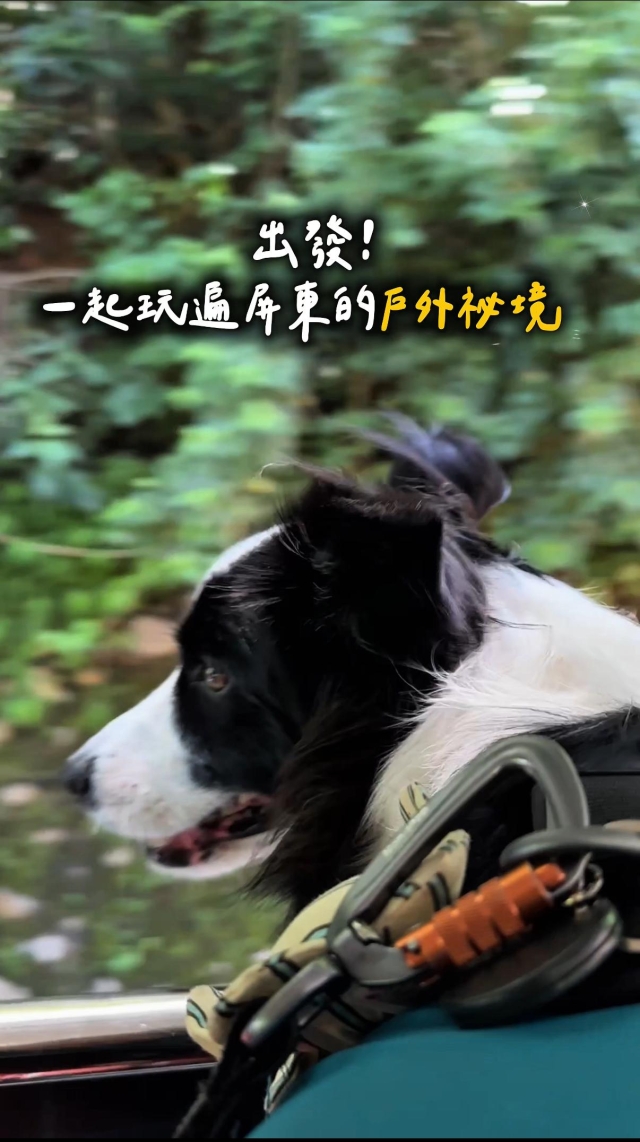 出發！一起玩遍屏東戶外秘境-第二屆金腳印獎『毛孩鏡勾追』活動