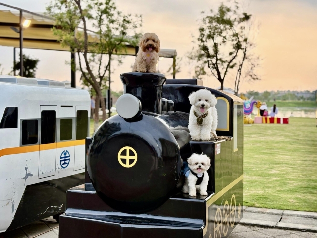 汪汪列車出發～請各位乘客準備好零食！-第二屆金腳印獎『毛孩鏡勾追』活動