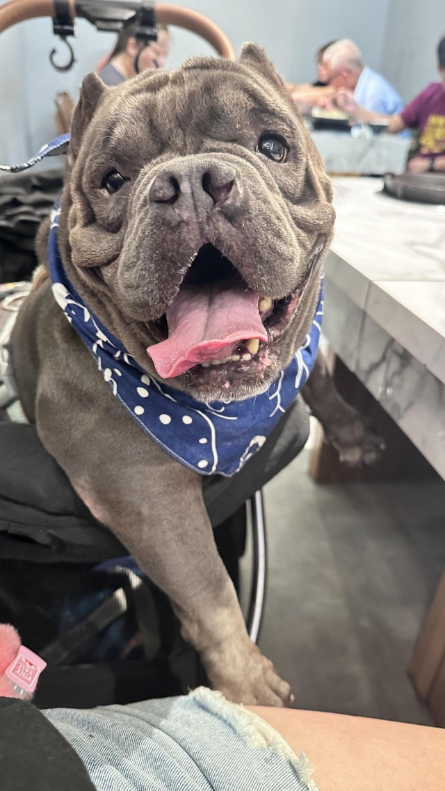 吃貨的快樂-第二屆金腳印獎『毛孩鏡勾追』活動