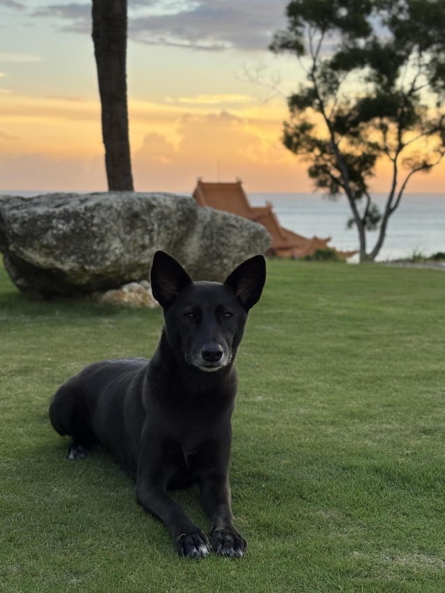 小琉球之旅-第二屆金腳印獎『毛孩鏡勾追』活動