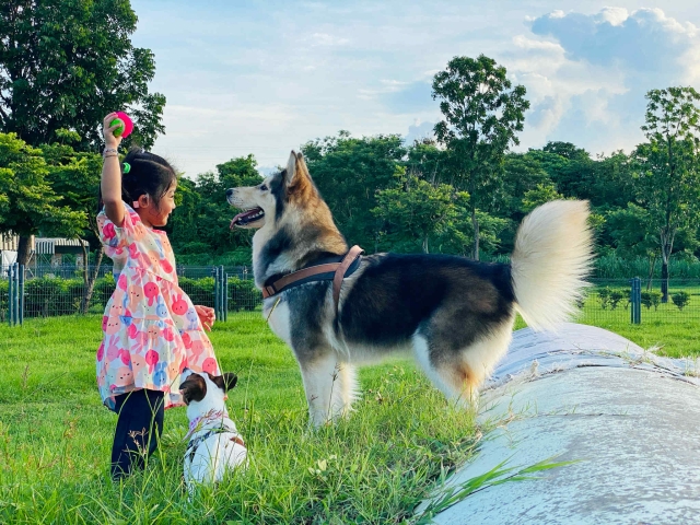 夏日午後的陪伴時光-第二屆金腳印獎『毛孩鏡勾追』活動