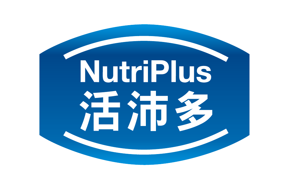 【活沛多】小小畫家活力塗鴉趣