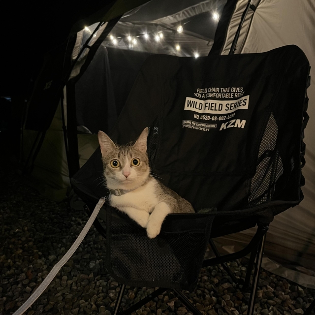 小灰camping 喵～-KZM曬出你的寵物好捧油