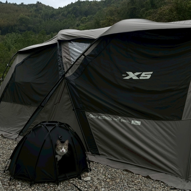 小灰camping 喵～-KZM曬出你的寵物好捧油